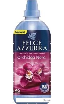    Felce Azzurra Black Orchid  (900 )
