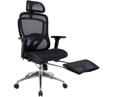   Evolution Ergo Elite ()