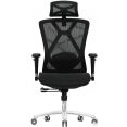 Офисное кресло Evolution Exo F1 Mesh Black (черный)