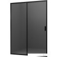 Душевая дверь Ambassador Forsa 110x200 17022217ABB