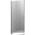 Душевая дверь Ambassador Elysium 100x200 111011111CX