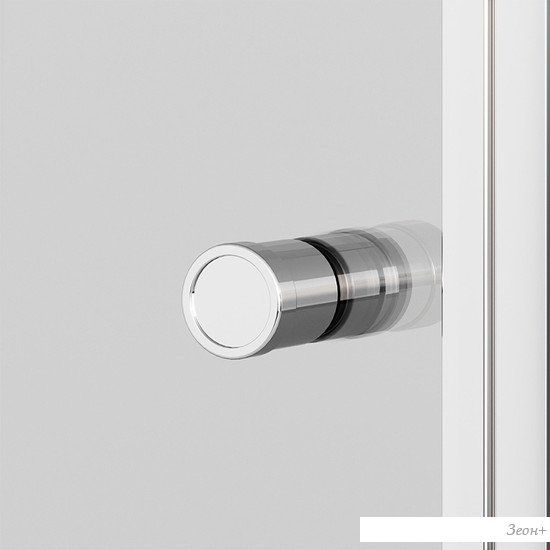 Душевая дверь Ambassador Elysium 100x200 111011111CX
