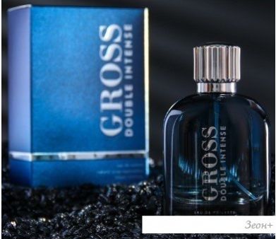   Christine Lavoisier Gross Double Intense EdT (100 )