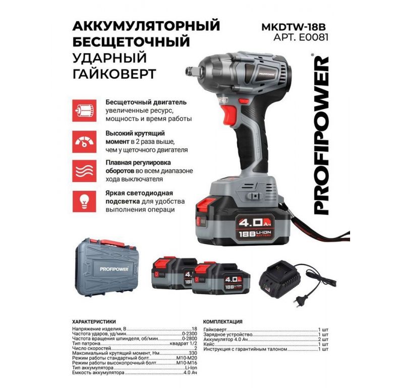 Profipower MKDTW-18B E0081 (с 2-мя АКБ, кейс)