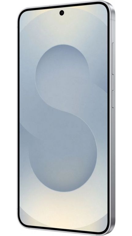 Смартфон Samsung Galaxy S25 SM-S931B 12GB/256GB (серый)