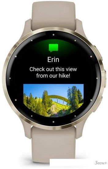 Умные часы Garmin Venu 3S (френч-грей, с силиконовым ремешком)
