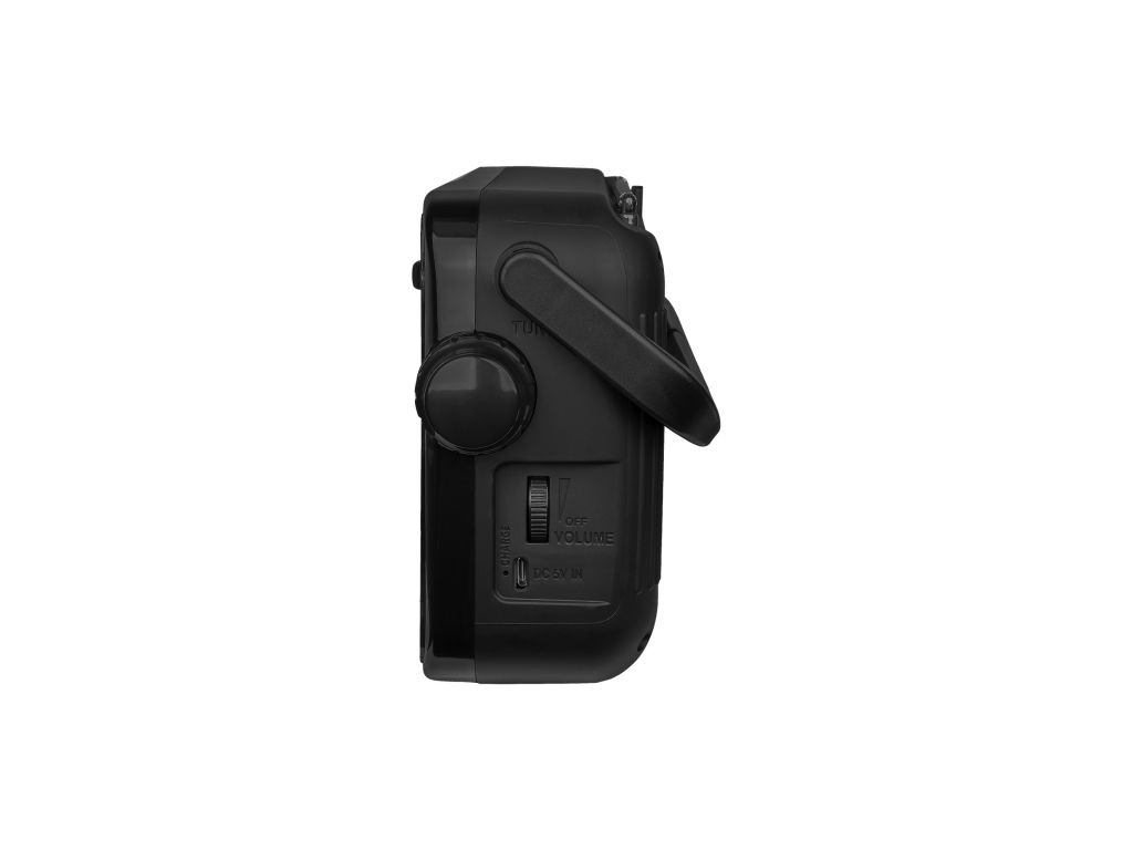 Радиоприемник Ritmix RPR-303