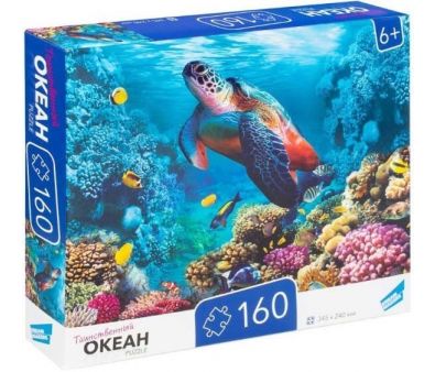  Dream Makers  RI1601C