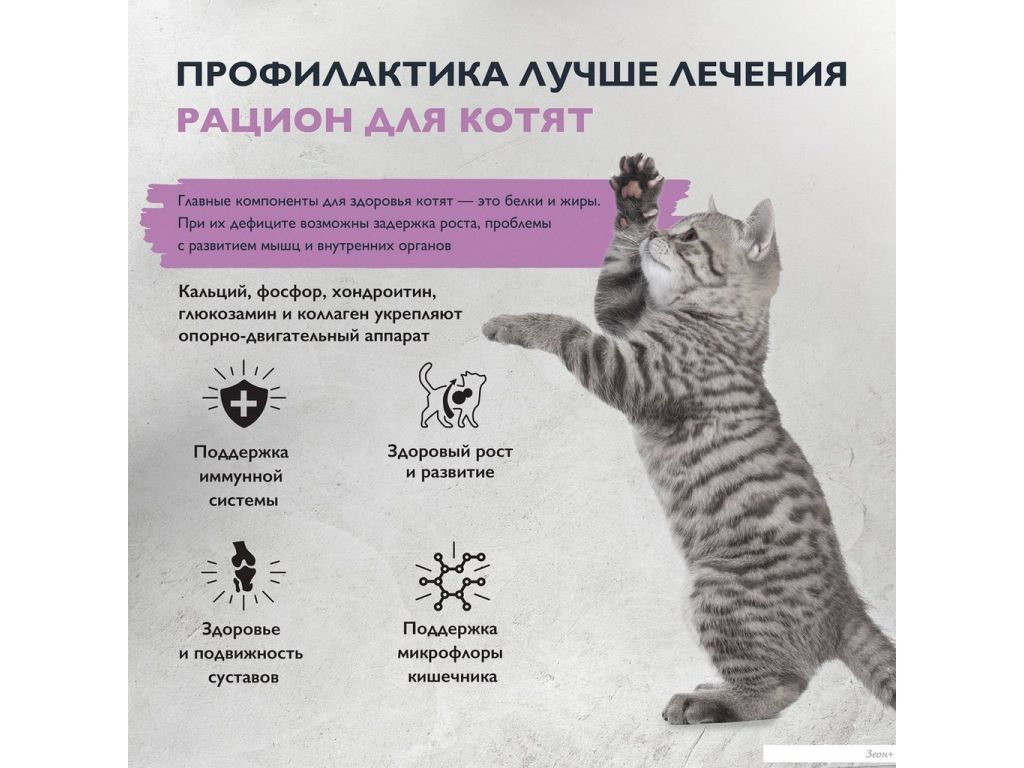 Сухой корм для кошек Brit care Superpremium Kitten с индейкой для котят, беременных и кормящих кошек (здоровый рост) 7 кг