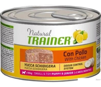  Trainer Puppy & Junior     150 