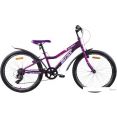  AIST Rosy Junior 1.0 2024 (, )