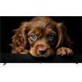Телевизор Topdevice 65" QLED CQ09