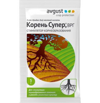 Avgust   10 