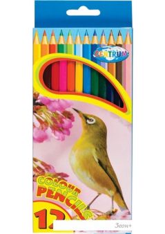    Centrum 80169 (12 )