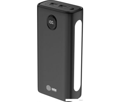   CACTUS CS-PBFSJA-30000 30000mAh ()