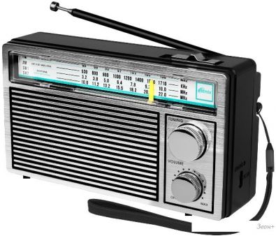  Ritmix RPR-131