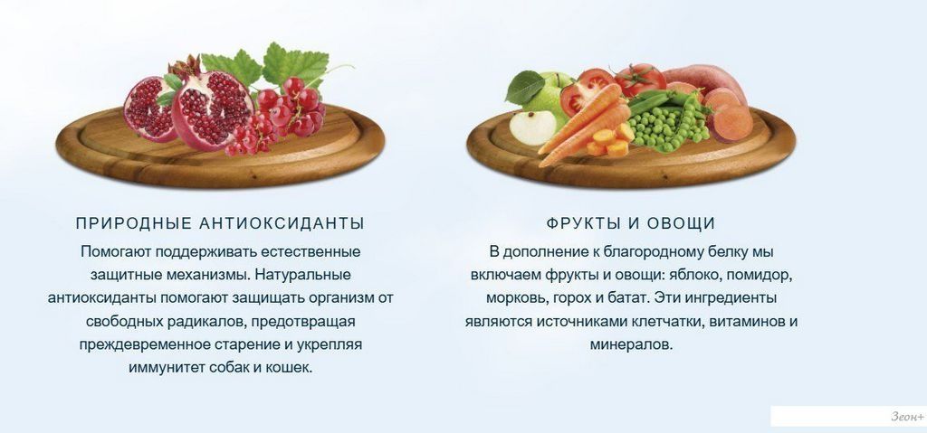 Сухой корм для собак HappyOne Mediterraneum беззерновой со свежим яйцом и свежим мясом ягненка 12 кг