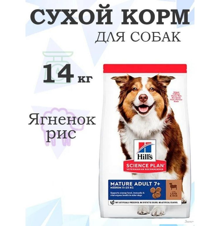 Сухой корм для собак Hill's SP для пожилых собак средних пород с ягненком и рисом