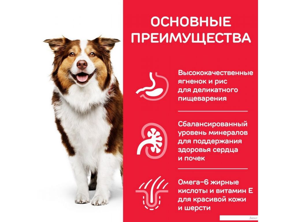 Сухой корм для собак Hill's SP для пожилых собак средних пород с ягненком и рисом