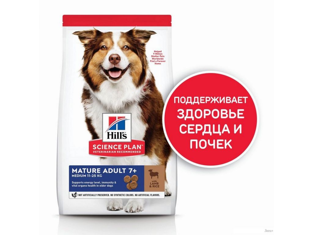 Сухой корм для собак Hill's SP для пожилых собак средних пород с ягненком и рисом