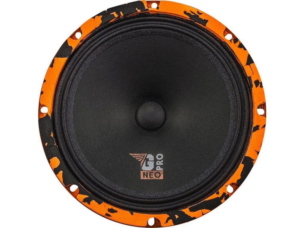 DL Audio Gryphon Pro 200 Neo
