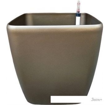  Forgarden BF00078 (/)