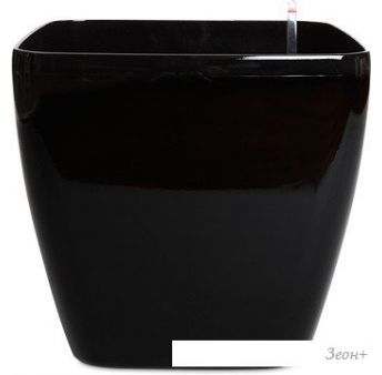  Forgarden BF00870 ( )