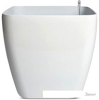  Forgarden BF00871 ( )