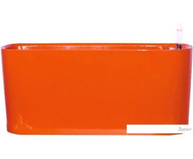  Forgarden BN05548 ()