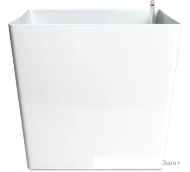  Forgarden BN10352 ( )