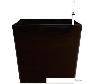  Forgarden BN10353 ( )