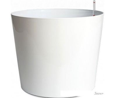 Forgarden BN10360 ( )
