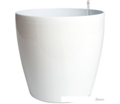  Forgarden Classic BN09223 ( )