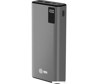   CACTUS CS-PBFSFA-20000 20000mAh ()