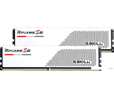   G.Skill Ripjaws S5 2x24 DDR5 5200  F5-5200J4040A24GX2-RS5W