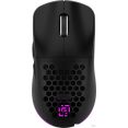Игровая мышь Oklick 900GMW (черный)
