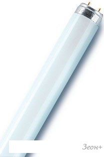   Osram G13 15 6500 