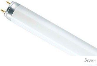   Osram G13 15 4000 