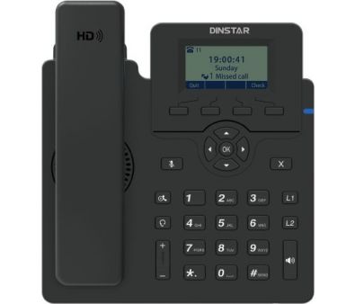IP- Dinstar C60S