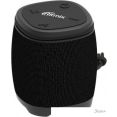   Ritmix SP-310B