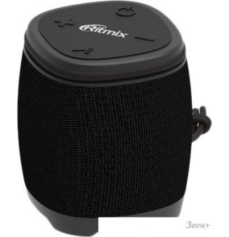   Ritmix SP-310B