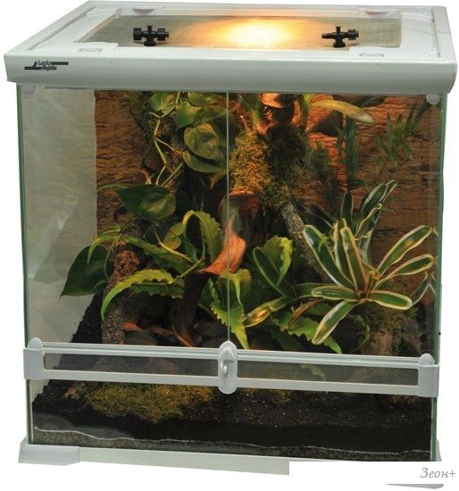 Палюдариум Lucky Reptile Aqua-Tarrium (белый)