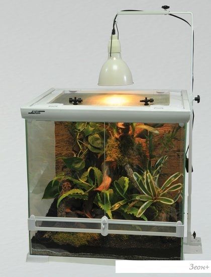 Палюдариум Lucky Reptile Aqua-Tarrium (белый)