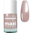  Giorgio Capachini MAXI COLOR   65