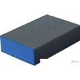   Blue Dolphin KSP_20888