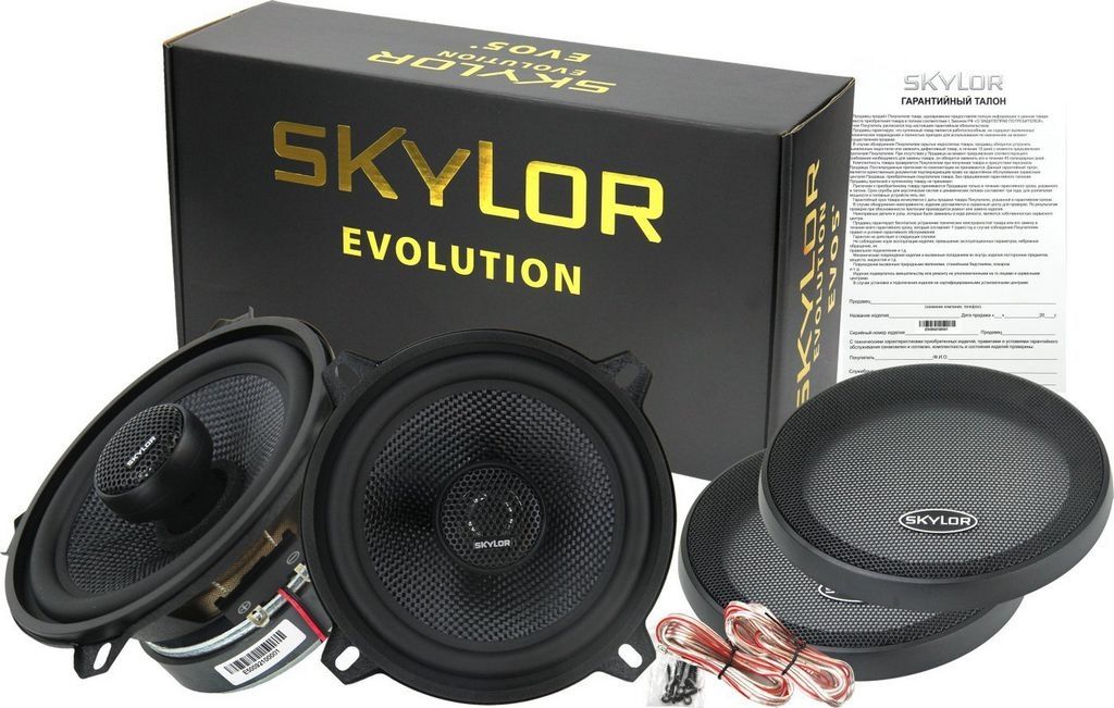 Коаксиальная АС Skylor EVO5