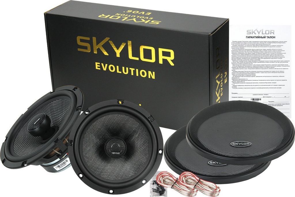 Коаксиальная АС Skylor EVO6