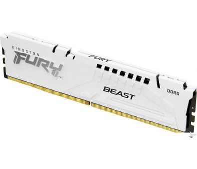   Kingston FURY Beast 32 DDR5 6000  KF560C30BW-32