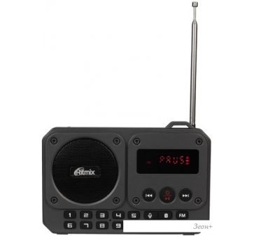  Ritmix RPR-010