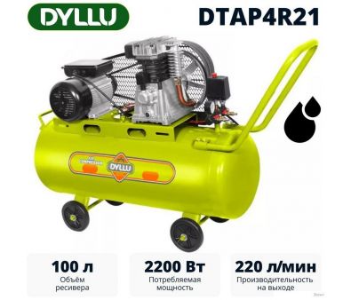  Dyllu DTAP4R21